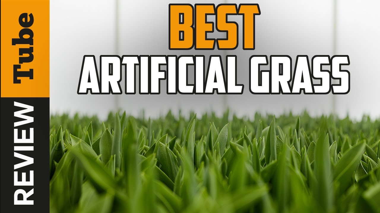 Fake Grass for Dogs: The Ultimate Pet Turf Buyer's Guide