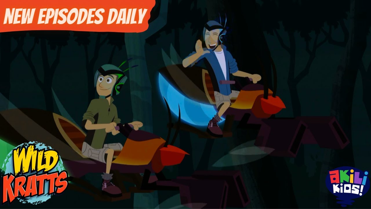 Wild Kratts Let's Find Some Fireflies! Akili Kids! YouTube