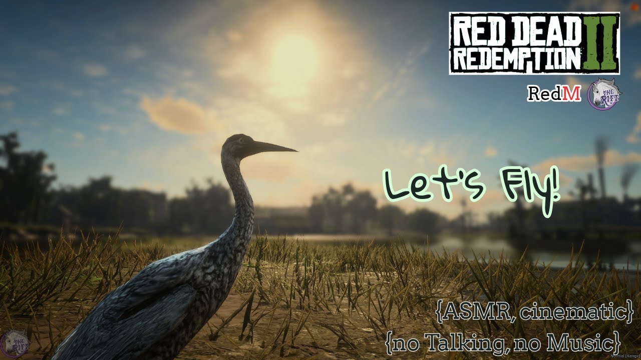 {EP 7} Through the Eyes | Let's Fly over the Swamps!