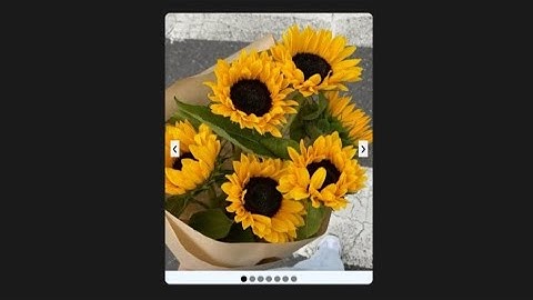Image Slider with HTML CSS and JavaScript || Easy and Step by step || #programming #frontendcourse
