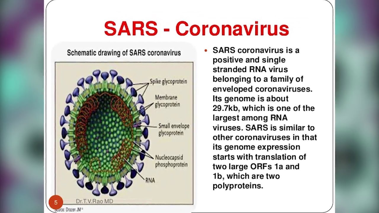 Мало коронавирус