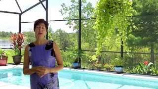How To Choose The Perfect Rental Home