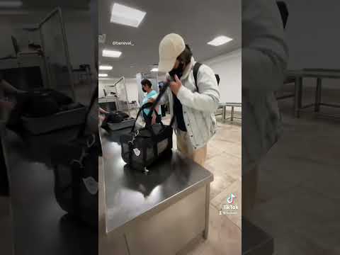 Video: Llevar un hurón mascota en un vuelo de avión