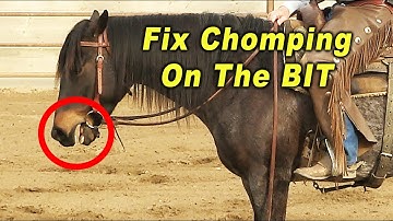 Horse CHOMPING On The Bit FIX - Horse Training Problems