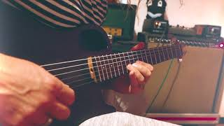 Snap Dragon Traxe Noir, Boss Looper And A 1967 Fender Super Reverb.