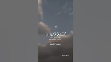 لن تندم إن سمعت للنهاية تلاوة خاشعة بصوت هارون الوليد #trending #اكسبلور #المصحف #قرآن #لايك #reels