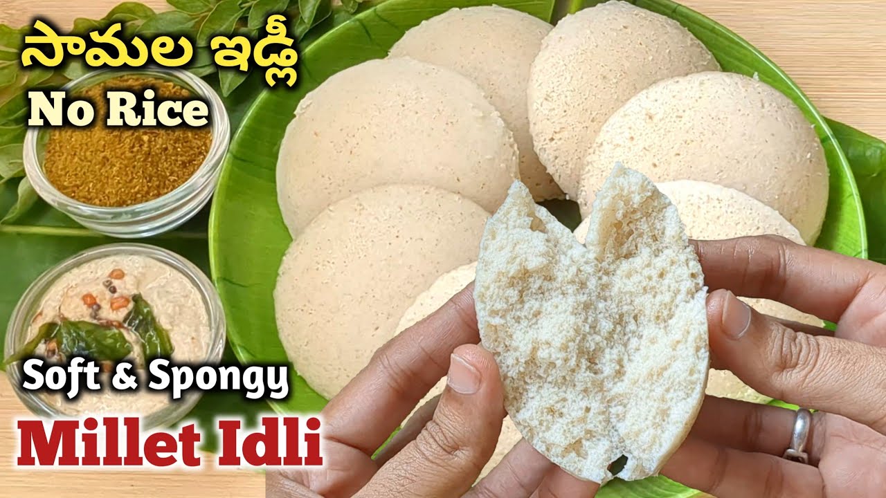 రైస్ లేకుండా సామలతో Soft & Spongy ఇడ్లీ Little Millet Idli Samala
