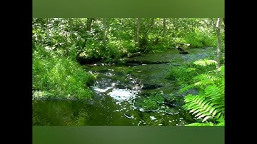 أجمل تلاوات تريح النفس للقارىء هزاع البلوشي صوت ذهبي ما شاء الله اللهم صل وسلم وبارك على سيدنا محمد