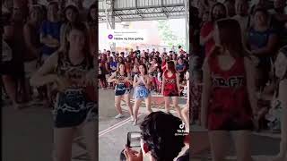 Basketball Muses Tiktok Trending Video