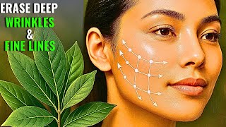 Bay Leaf is a million times Stronger than Botox and Collagen  Removes Deep Wrinkles and Fine Lines