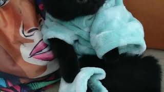 Şaşkın Bakışlar