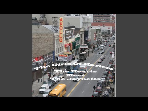 The Jaynetts — Sally Go Round The Roses (Instrumental)