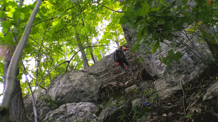 Backyard Rappel & Rock Climbing