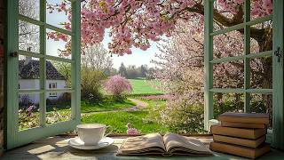 a dreamy april morning with cherry blossoms 🌸 soft piano for study, reading &amp; calm focus