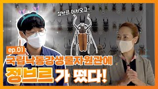 국립낙동강생물자원관에 정브르가 떴다! ep.01