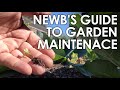 The Newb's Guide to Maintaining a Garden || Black Gumbo