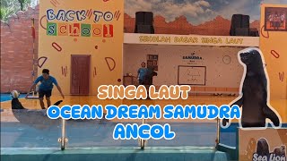 FULL‼️ PERTUNJUKAN SINGA LAUT di OCEAN DREAM SAMUDRA ANCOL