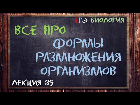 Л.39 | ФОРМЫ РАЗМНОЖЕНИЯ ОРГАНИЗМОВ | ОБЩАЯ БИОЛОГИЯ ЕГЭ