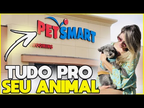 Vídeo: A Petsmart vende ouriços?