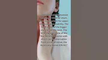 The Sternocleidomastoid Muscle