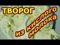 800 грамм из 3 литров! Как правильно приготовить творог из кислого молока в домашних условиях