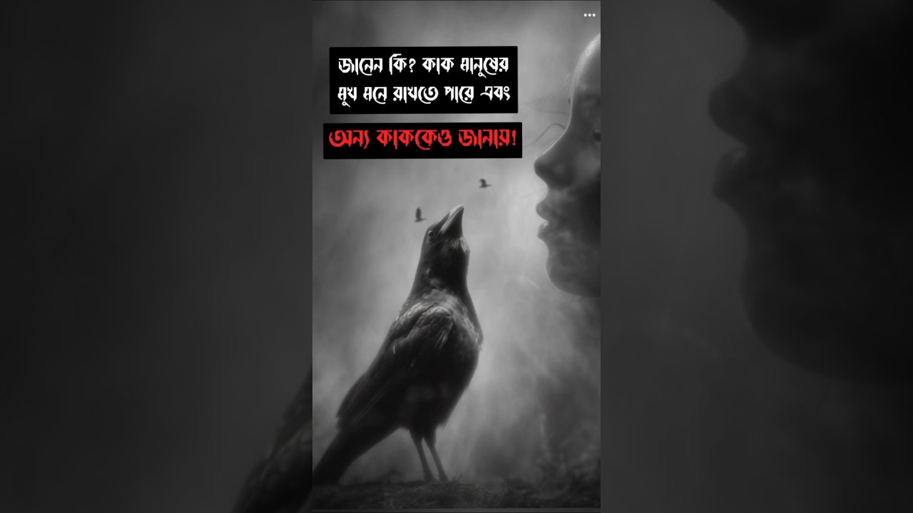 Crows Can Remember Human Faces for Years 😱 