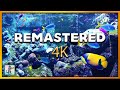 Classic aquarium remastered 4k   3 hours of beautiful coral reef fish  aquarium relax music 