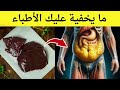 هل تعلم ماذا يحدث لجسمك إذا أكلت كبد الخروف؟ فوائد كبد الخروف سوف تبهرك