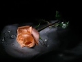 اغاني عطني  وعدك  اليوم