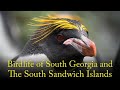 Bird Life of South Georgia and The South Sandwich Islands mp3