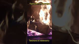 Прекрасного вечера!  Теплого и нежного!