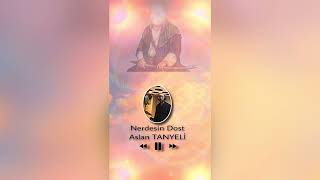 Aslan Tanyeli - Nerdesin Dost
