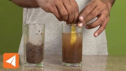 Sedimentation produces partially clear water | Solutions | Chemistry