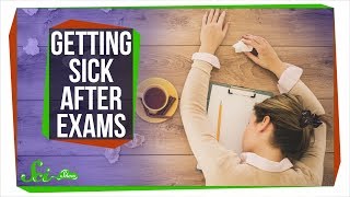 Why Do You Always Get Sick After Exams?