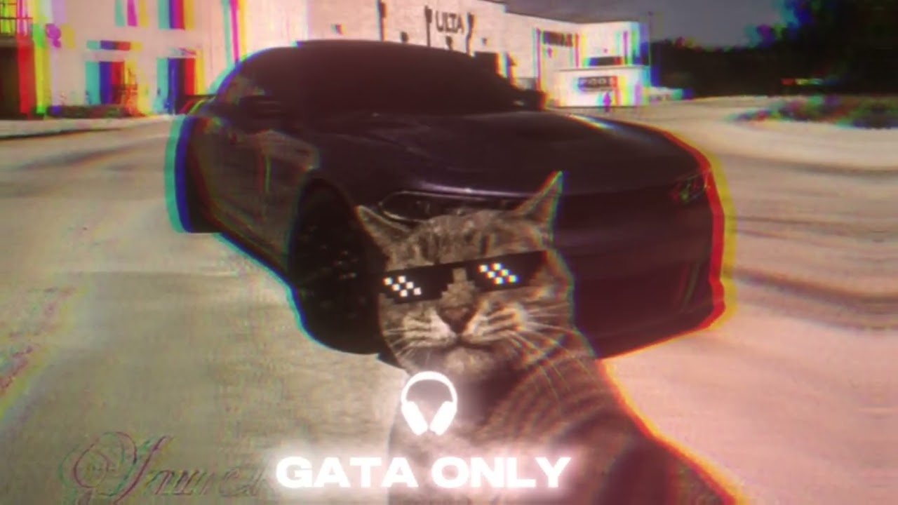 GATA ONLY  (Slowed & Reverb) | This hits different at night 🚬