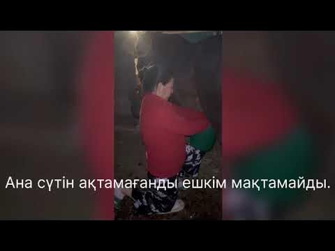 Таңқурай сиськи бар порно Сексті іштен бақылаңыз