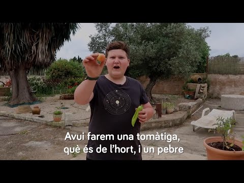 Vídeo: Com Cultivar Múrgoles En Una Casa D'estiu