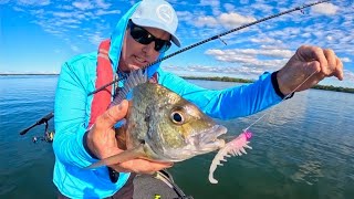 New Crush City 2025 - Full Review Flathead, Tailor Bream