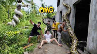 Brave Experts Rescue Girl from Ferocious Giant White Python in Abandoned House