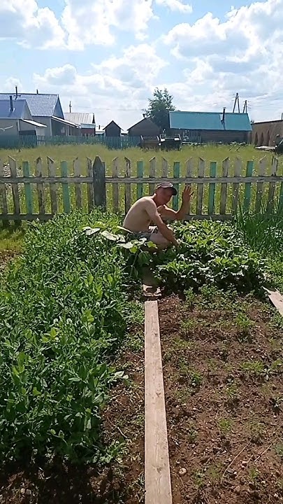 прополка грядок - YouTube