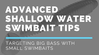 Early Post Spawn Fishing Tip: How to Catch Bass in Shallow Water with a Small Swimbait
