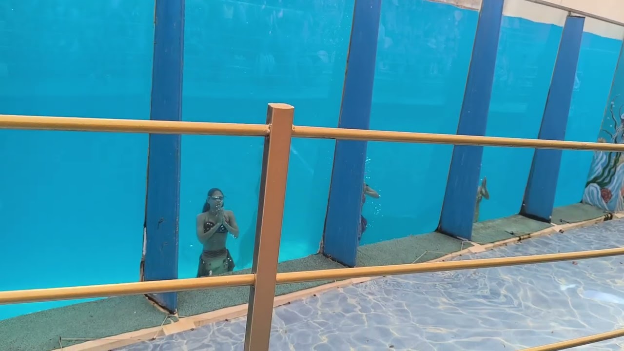 Deniz kızları gösterisi