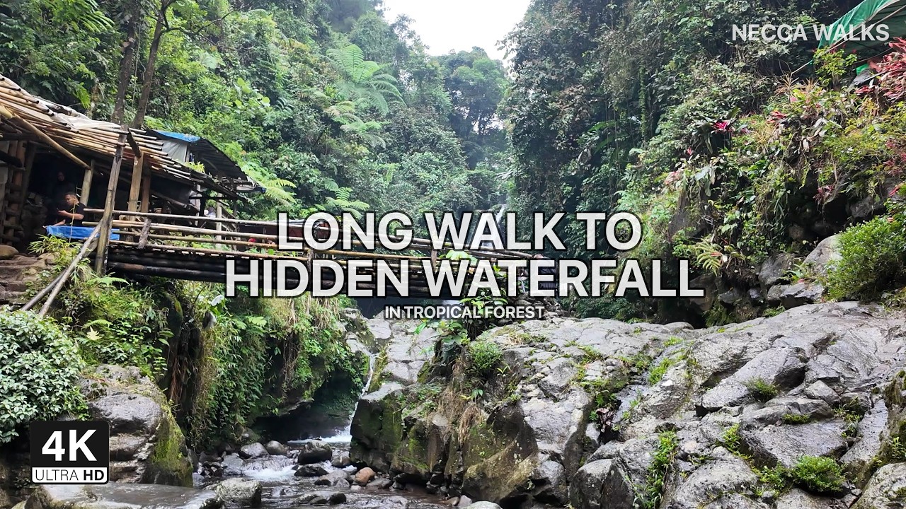 Solo Jungle Walk to a Hidden Waterfall | Relaxing Nature Sounds | 4K
