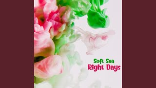 Video thumbnail of "Soft Sea - Right Days"