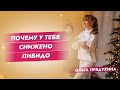 Почему у тебя снижено либидо? Как восстановить сексуальное желание?