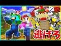 クッパ城からピーチ姫を助け出すマイクラ脱獄 まいくら マインクラフト クッパ城からピーチ姫を助け出すマイクラ脱獄 まいくら マインクラフト