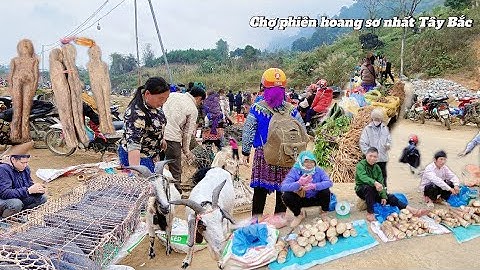 Chợ phiên vùng cao tại cốc ly bán lợn cắp nách dê bản và thảo dược hiếm | Thắng Tây Bắc