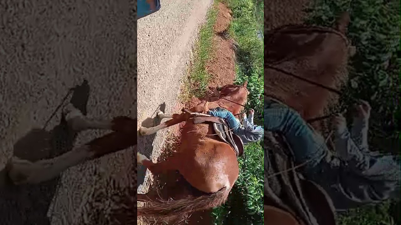 28 de fevereiro de 2026