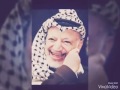 ابو عمار ما يهمك