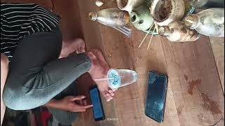 langaung telan ditempat minyak untalan